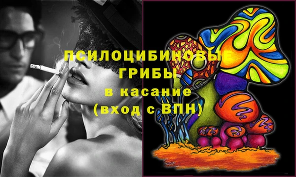 соль ск Аркадак