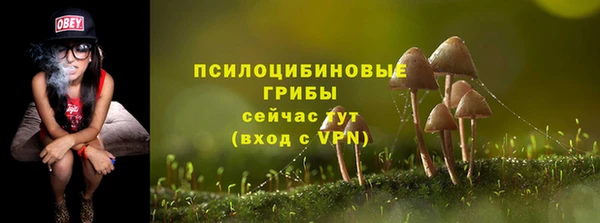 стафф Арсеньев