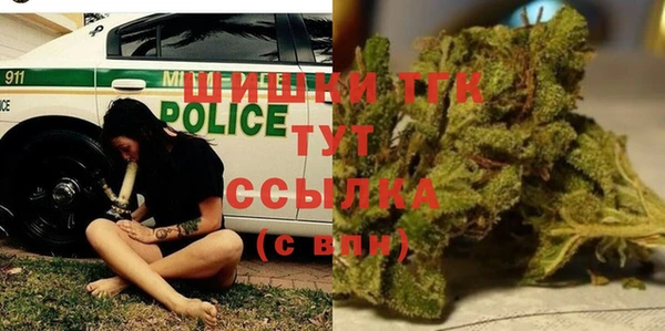 стафф Арсеньев