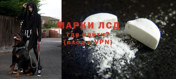 стафф Арсеньев